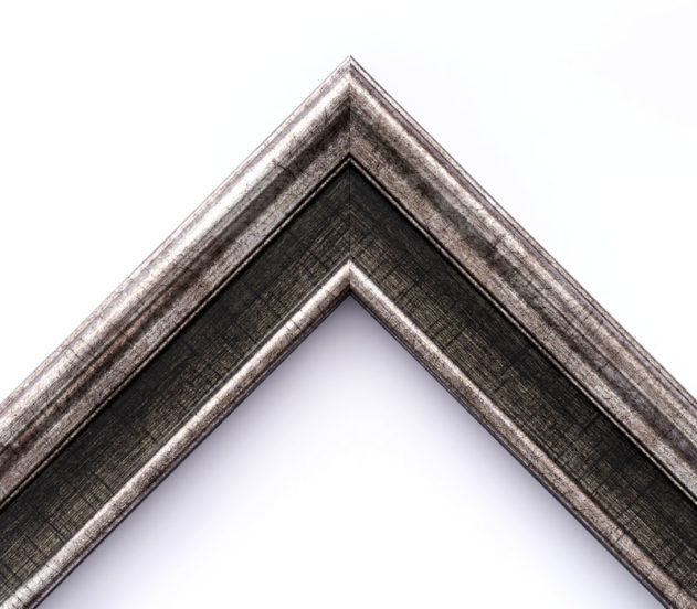 EcoFrame MX 01