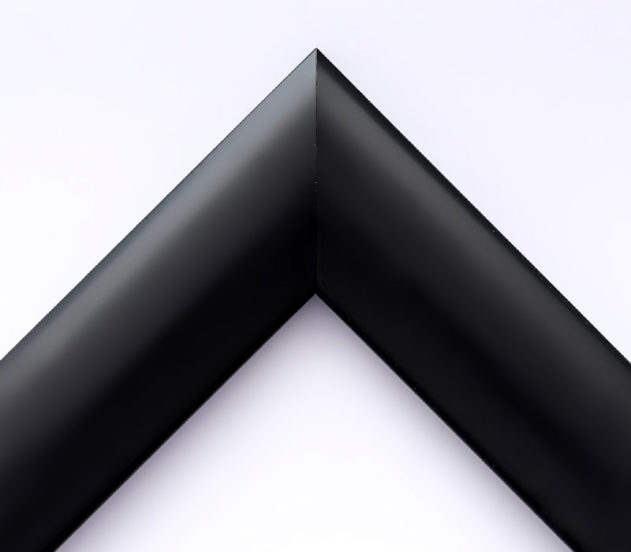 EcoFrame MX 09