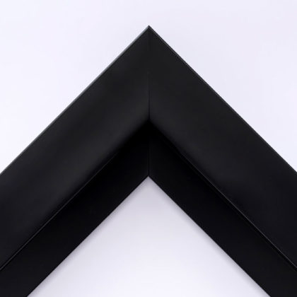 EcoFrame MX 11