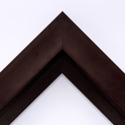 EcoFrame MX 12