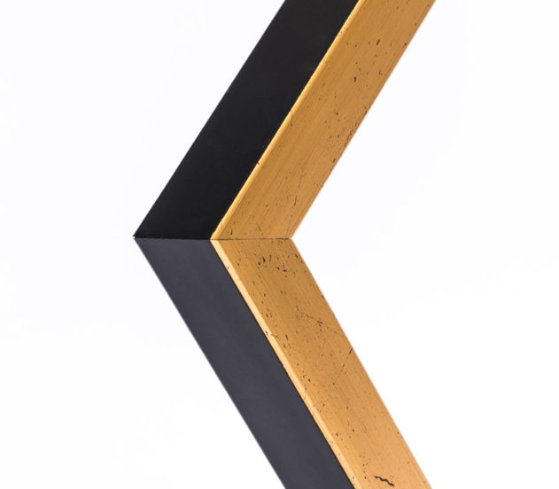 EcoFrame MX 15 - Imagen 2