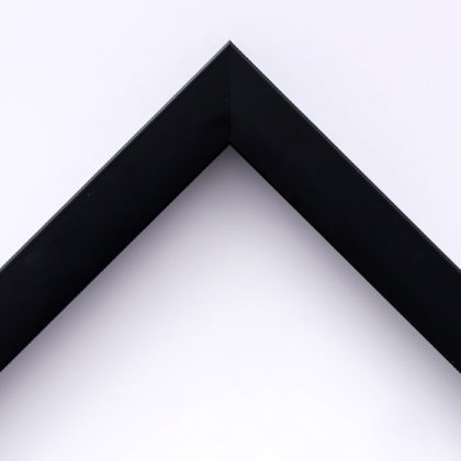 EcoFrame MX 16