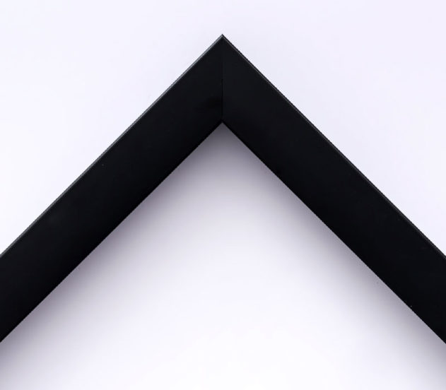 EcoFrame MX 16
