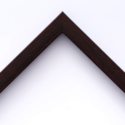 EcoFrame MX 17