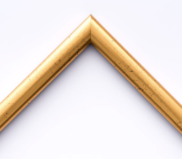 EcoFrame MX 19
