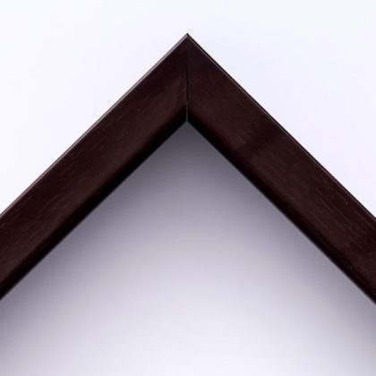 EcoFrame MX 20