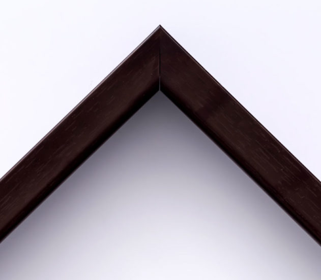 EcoFrame MX 20