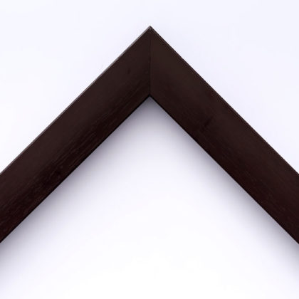 EcoFrame MX 21
