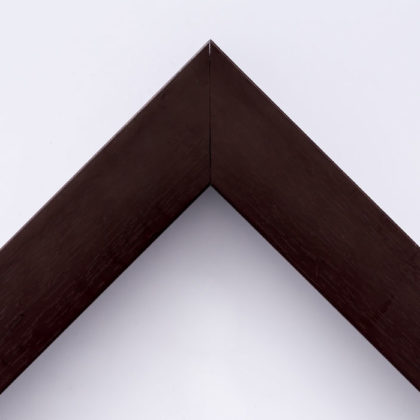 EcoFrame MX 22