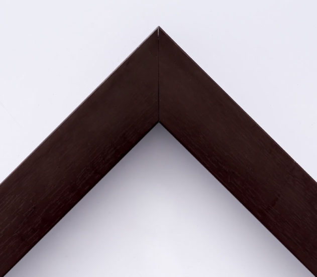 EcoFrame MX 22