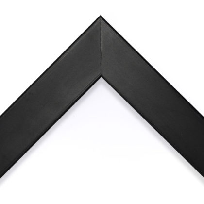 Canvas 11
