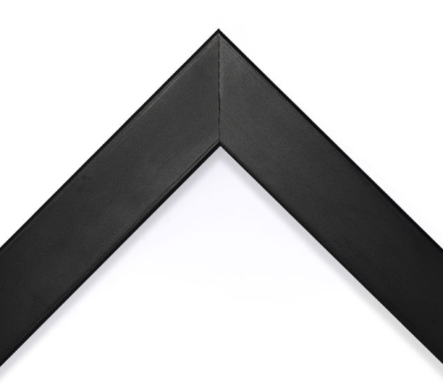 Canvas 11