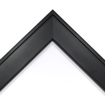 Canvas 22