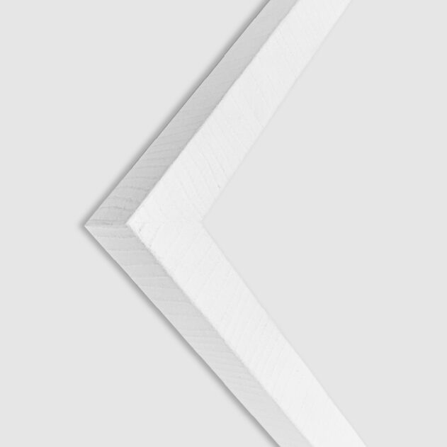 BLI-08 - Imagen 2
